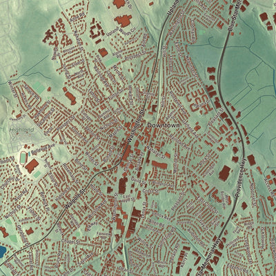 Close-up of the map of Norwood, Massachusetts print showing streets and neighborhoods
