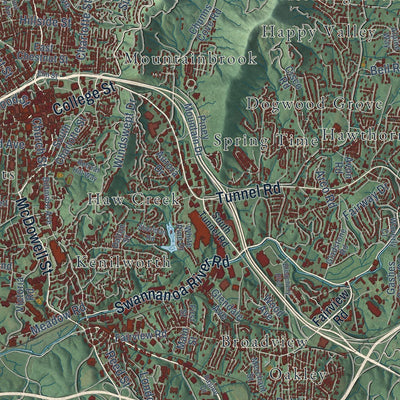 Close-up of the map of Asheville, North Carolina print showing street and building detail