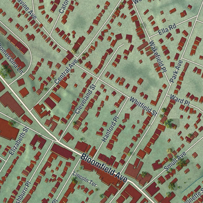 Close-up of the map of Caldwell, New Jersey print showing street and building detail