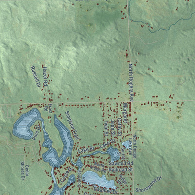 Close-up of the map of Hamilton, Clare County, Michigan print showing street and building detail