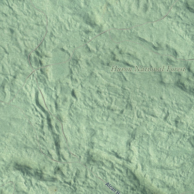Close-up of the map of Goodar, Michigan print showing street and building detail