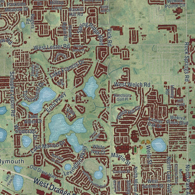 Close-up of the map of Apopka, Florida print showing street and building detail