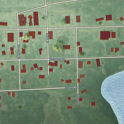 Close-up of the map of Wallace, South Dakota print showing street and building detail