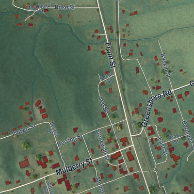 Close-up of the map of Vaiden, Mississippi print showing street and building detail