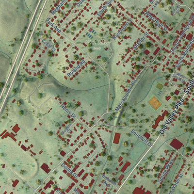 Close-up of the map of Woodstock, Virginia print showing street and building detail