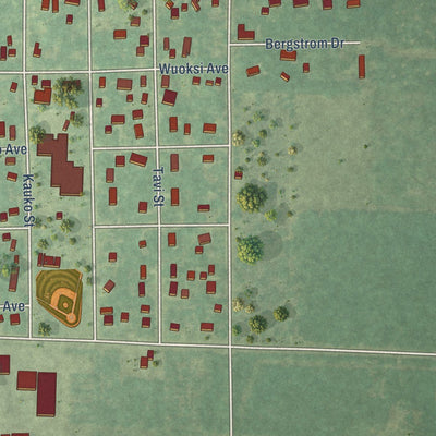 Close-up of the map of Kaleva, Michigan print showing street and building detail