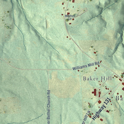 Close-up of the map of Bakerhill, Alabama print showing street and building detail