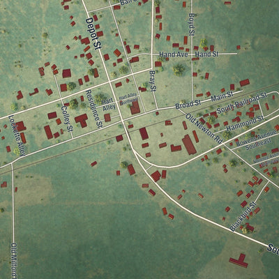 Close-up of the map of Leary, Georgia print showing street and building detail