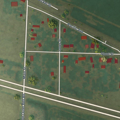 Close-up of the map of Levasy, Missouri print showing street and building detail