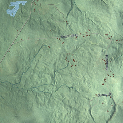 Close-up of the map of Napoli, New York print showing street and building detail