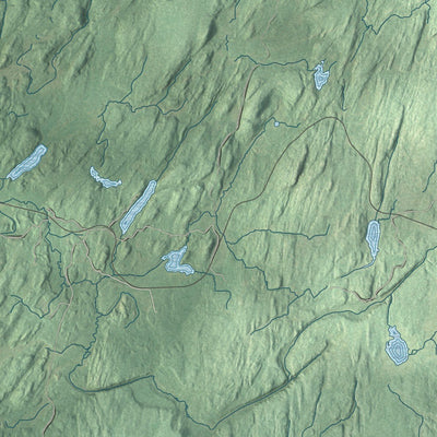 Close-up of the map of Diana, New York print showing street and building detail
