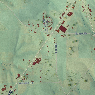Close-up of the map of Ider, Alabama print showing street and building detail