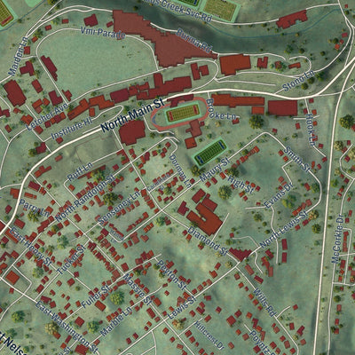 Close-up of the map of Lexington, Virginia print showing street and building detail