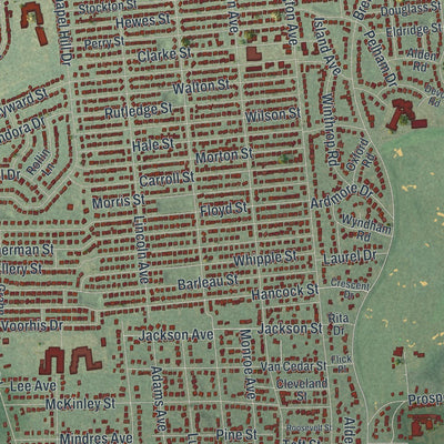 Close-up of the map of Brentwood, New York print showing street and building detail
