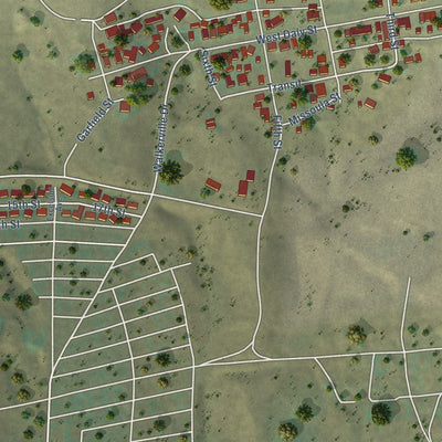 Close-up of the map of Walkerville, Montana print showing street and building detail