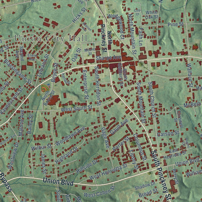 Close-up of the map of Union, South Carolina print showing street and building detail