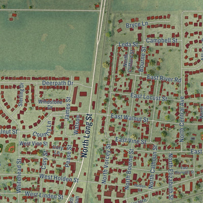 Close-up of the map of Tolono, Illinois print showing street and building detail