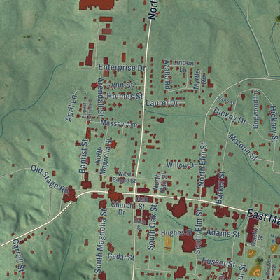 Close-up of the map of Adamsville, Tennessee print showing street and building detail