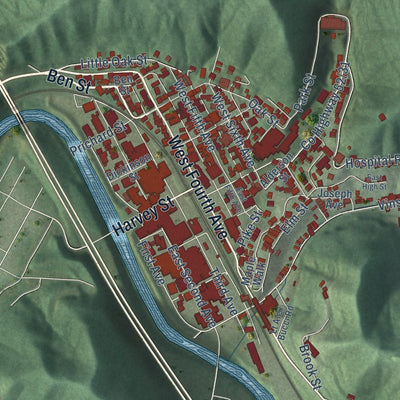 Close-up of the map of Williamson, West Virginia print showing street and building detail
