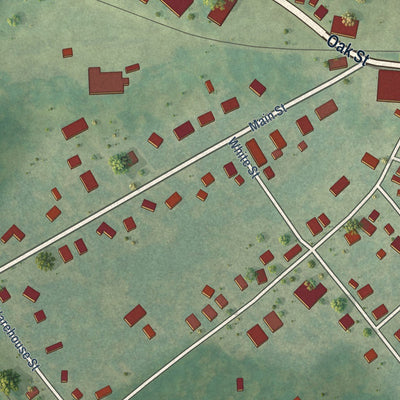 Close-up of the map of Dillwyn, Virginia print showing street and building detail