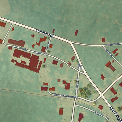 Close-up of the map of Williams, South Carolina print showing street and building detail