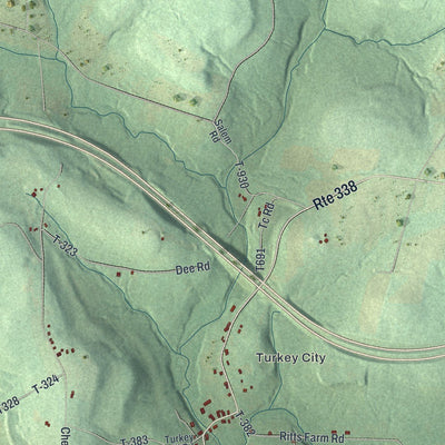 Close-up of the map of Richland, Clarion County, Pennsylvania print showing street and building detail