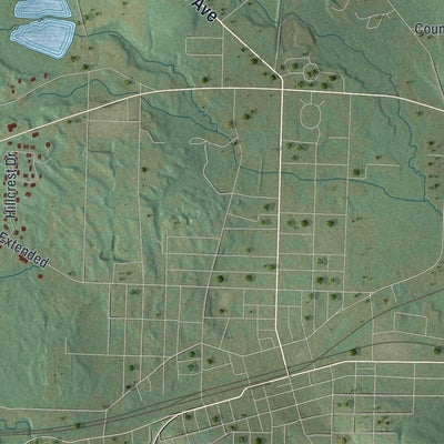 Close-up of the map of Wayne, Erie County, Pennsylvania print showing street and building detail