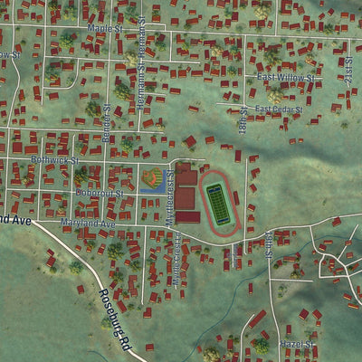 Close-up of the map of Myrtle Point, Oregon print showing street and building detail