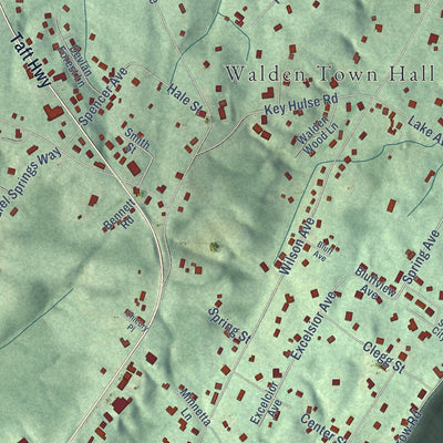 Close-up of the map of Walden, Tennessee print showing street and building detail
