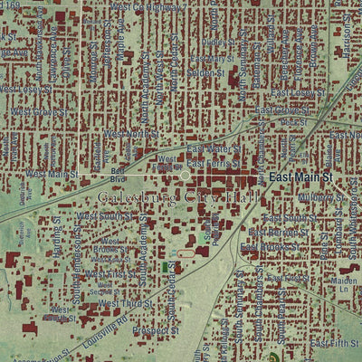 Close-up of the map of Galesburg, Illinois print showing street and building detail
