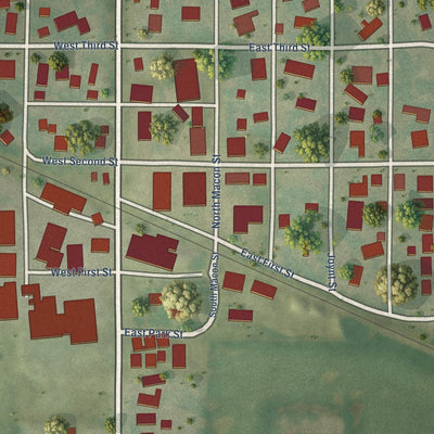 Close-up of the map of Latham, Illinois print showing street and building detail