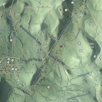 Close-up of the map of Cornwall, Connecticut print showing street and building detail
