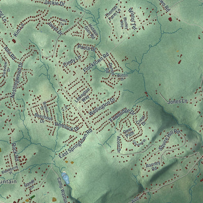 Close-up of the map of Washington, Morris County, New Jersey print showing street and building detail