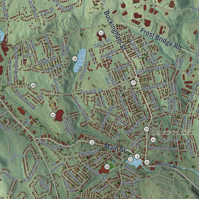 Close-up of the map of Watertown, Connecticut print showing street and building detail