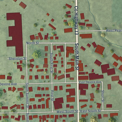 Close-up of the map of Pearl City, Illinois print showing street and building detail