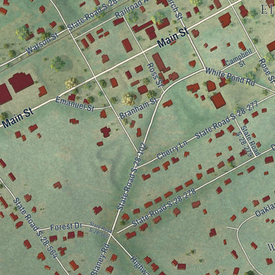 Close-up of the map of Elgin, South Carolina print showing street and building detail