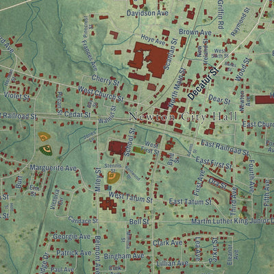 Close-up of the map of Newton, Mississippi print showing street and building detail