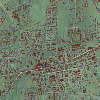 Close-up of the map of Talladega, Alabama print showing street and building detail