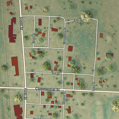 Close-up of the map of Donaldson, Minnesota print showing street and building detail