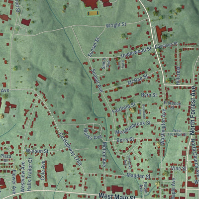 Close-up of the map of Camden, Tennessee print showing street and building detail
