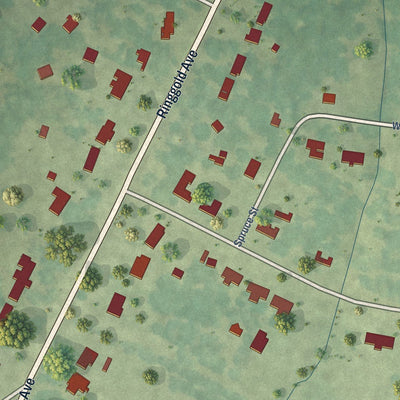 Close-up of the map of Edgefield, Louisiana print showing street and building detail