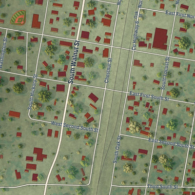 Close-up of the map of Tamaroa, Illinois print showing street and building detail