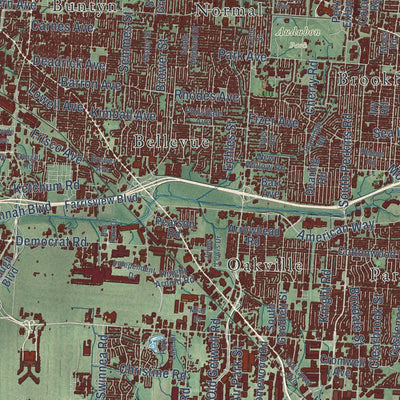 Close-up of the map of Memphis, Tennessee print showing street and building detail