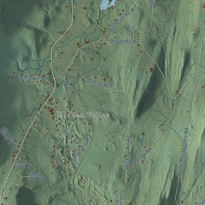Close-up of the map of Shaftsbury, Vermont print showing street and building detail