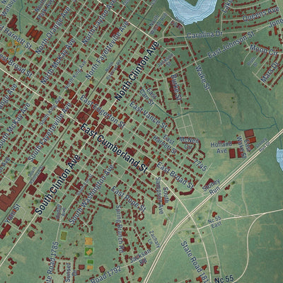 Close-up of the map of Dunn, North Carolina print showing street and building detail