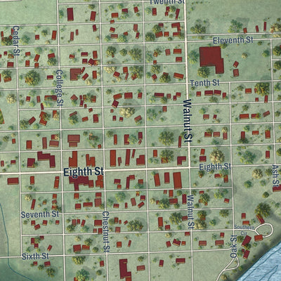 Close-up of the map of Springfield, South Dakota print showing street and building detail
