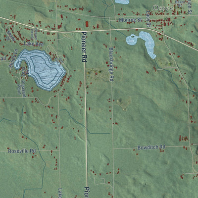 Close-up of the map of Jefferson, Hillsdale County, Michigan print showing street and building detail