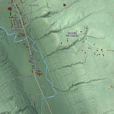 Close-up of the map of Wales, New York print showing street and building detail