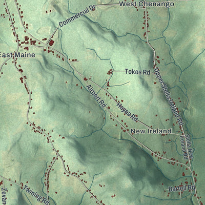 Close-up of the map of Maine, New York print showing street and building detail