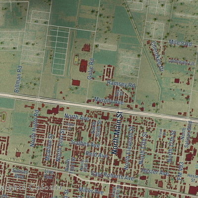 Close-up of the map of Donna, Texas print showing street and building detail